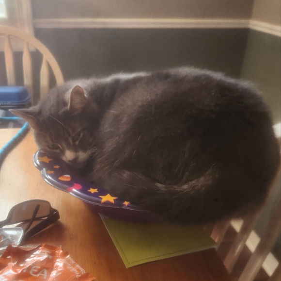 Like for live show listings! 🩷 - Picture 4 of 5